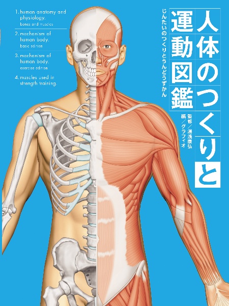 人体のつくりと運動図鑑 図書館用堅牢製本