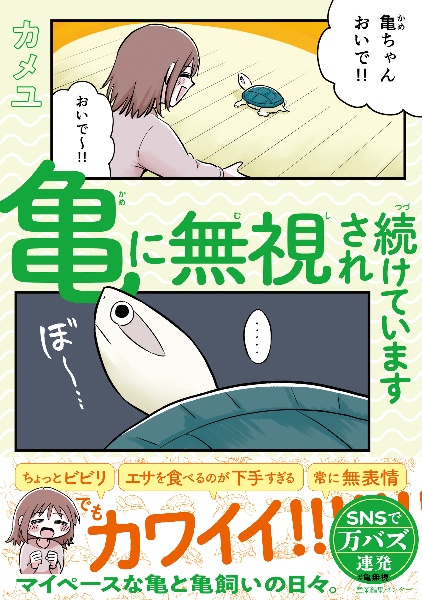 亀に無視され続けています