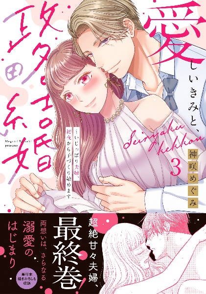 愛しいきみと、政略結婚~いじっぱり夫婦、初夜から子づくり始めます（3）
