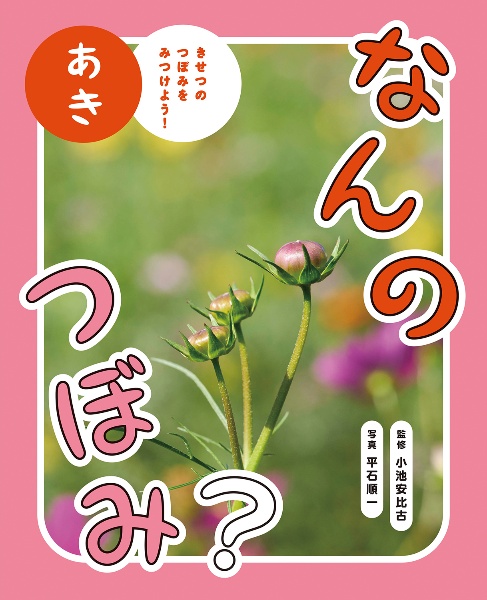 なんのつぼみ? あき きせつのつぼみをみつけよう!