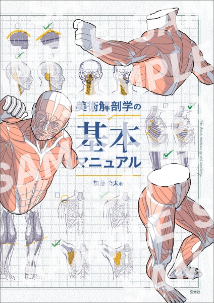 美術解剖学の基本マニュアル/加藤公太 - 販売書籍｜TSUTAYA レンタル