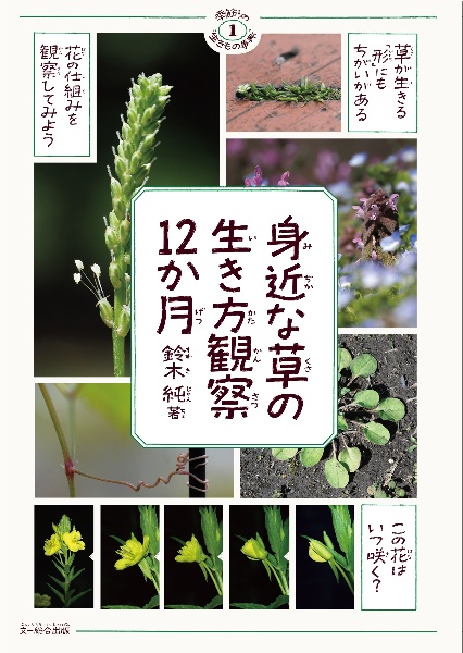 身近な草の生き方観察12か月