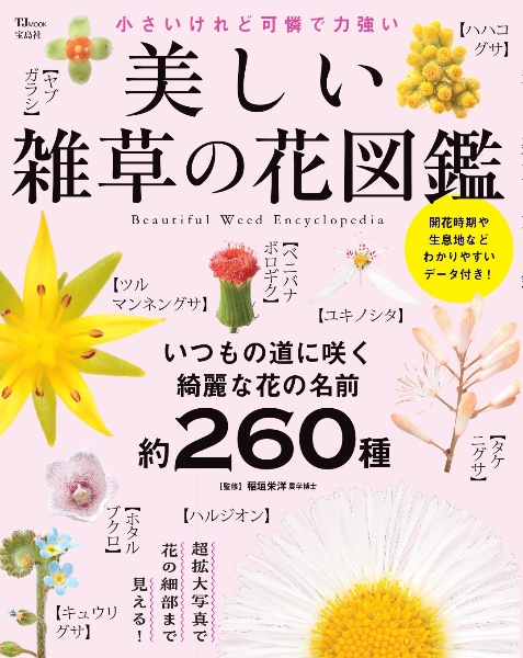 美しい雑草の花図鑑
