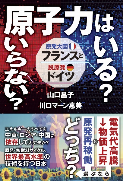 原子力はいる?いらない?原発大国フランスと脱原発ドイツ