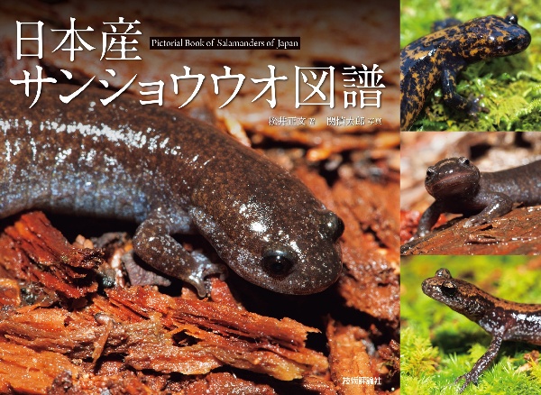 日本産カエル大鑑/松井正文 - 販売書籍｜TSUTAYA レンタル・販売 商品