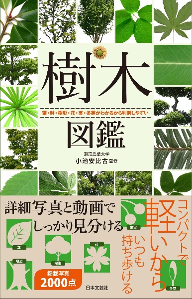 樹木図鑑 葉・幹・樹形・花・実・冬芽がわかるから判別しやすい
