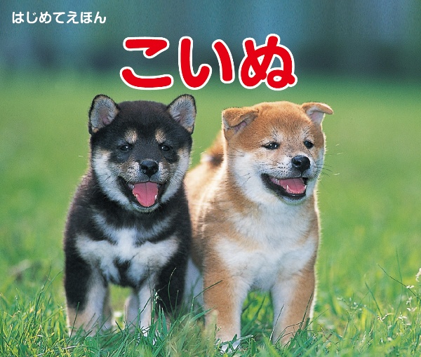 こいぬ