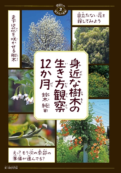 身近な樹木の生き方観察12か月