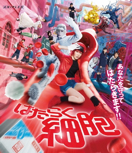 はたらく細胞(通常版)