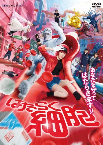 【新品ケース収納】　はたらく細胞 DVD １9巻セット　レンタル使用済み DVD はたらく細胞!! 全4巻 ※ケース無し発送 レンタル落ち ZX902