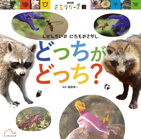 どっちが どっち? しぜんかいの にたものさがし