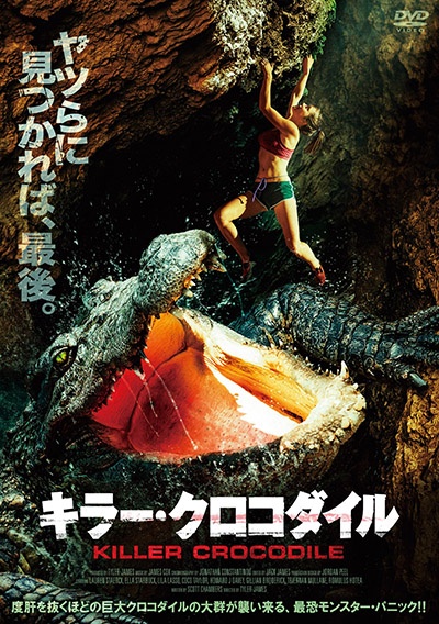 キラー・クロコダイル