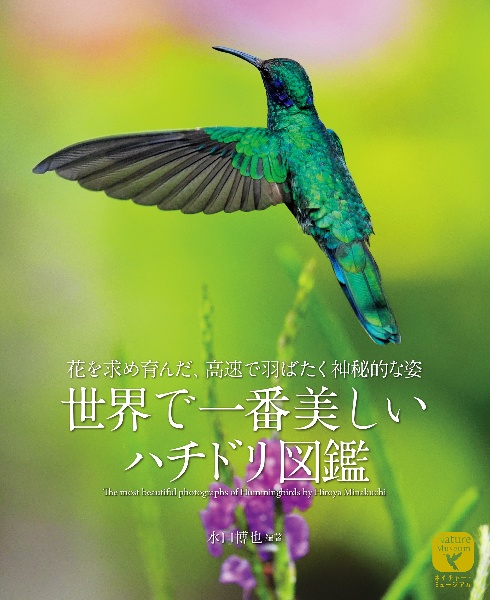 世界で一番美しい ハチドリ図鑑 花を求め育んだ、高速で羽ばたく神秘的な姿