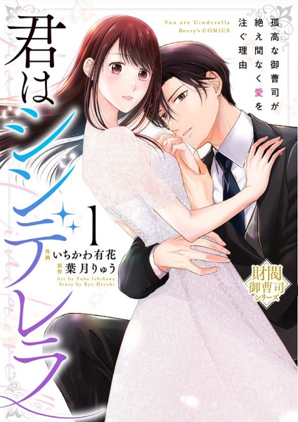 君はシンデレラ~孤高な御曹司が絶え間なく愛を注ぐ理由~【財閥御曹司シリーズ】