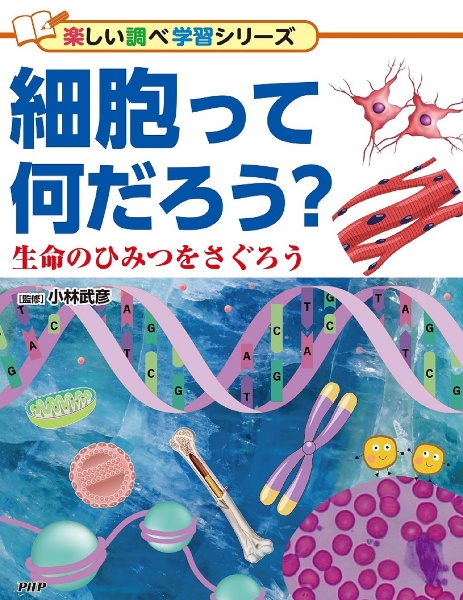 細胞って何だろう? 生命のひみつをさぐろう 図書館用堅牢製本