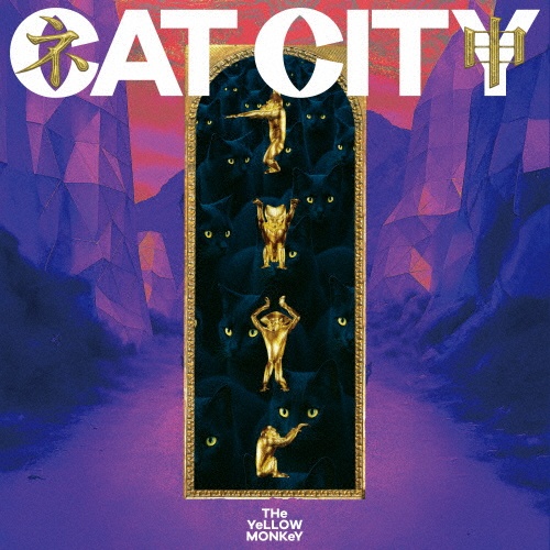 CAT CITY