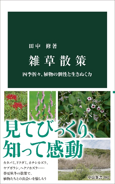 雑草散策 四季折々、植物の個性と生きぬく力