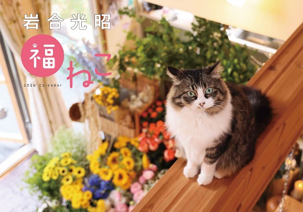 岩合光昭 福ねこカレンダー2026 2026