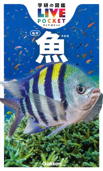全国 水族館ガイド100/本村浩之 - 販売書籍｜TSUTAYA レンタル・販売