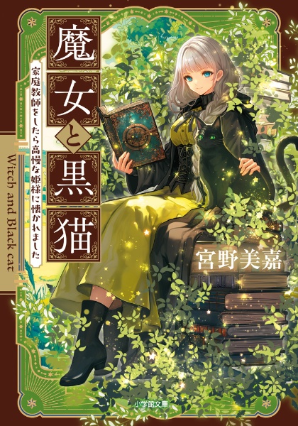 魔女と黒猫 家庭教師をしたら高慢な姫様に懐かれました