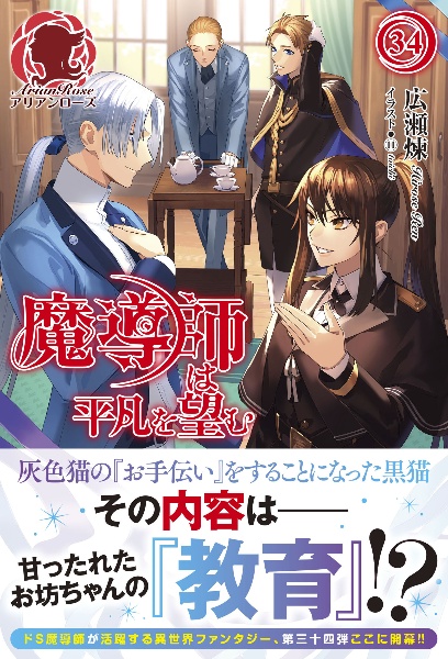 魔導師は平凡を望む