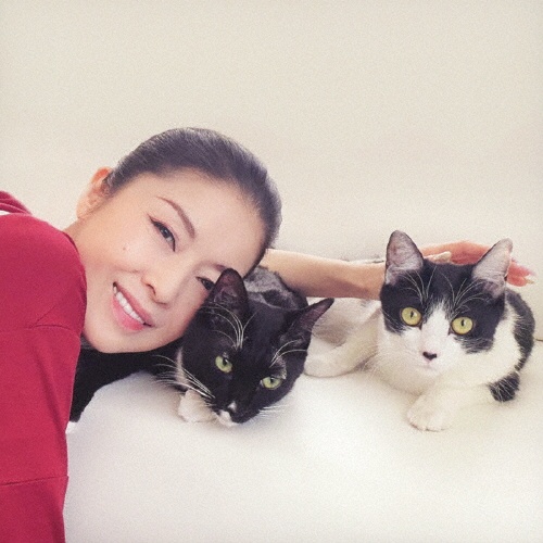 想い出づくり/小さな鐘の音~ラ・カンパネラ~