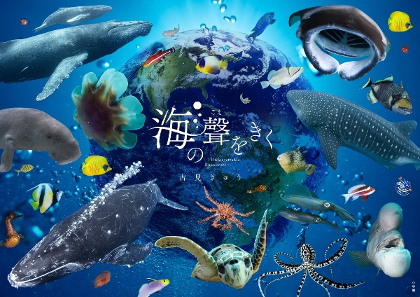 海の聲をきく ーUnforgettable Encounterー