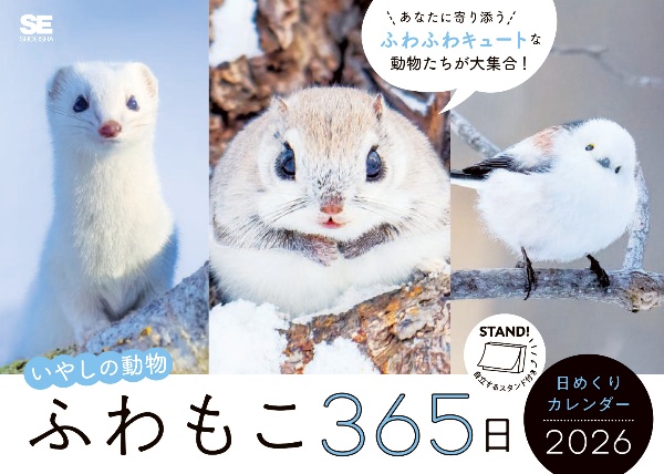ふわもこ365日いやしの動物日めくりカレンダー 2026