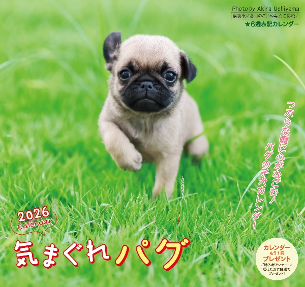 気まぐれ パグカレンダー 2026