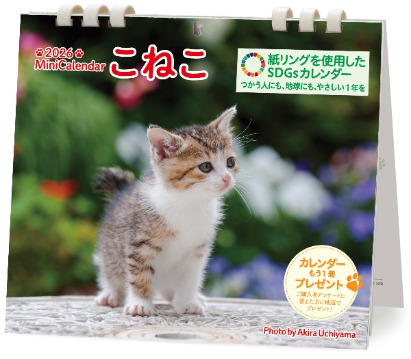 ミニカレンダーこねこ 2026
