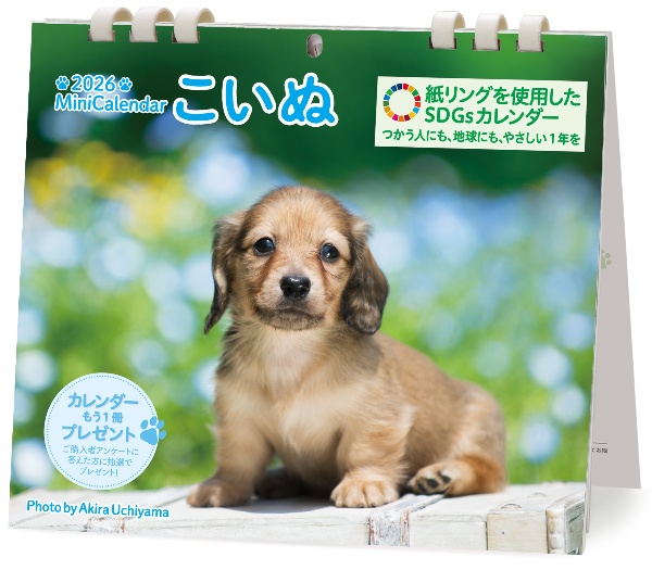 ミニカレンダーこいぬ 2026