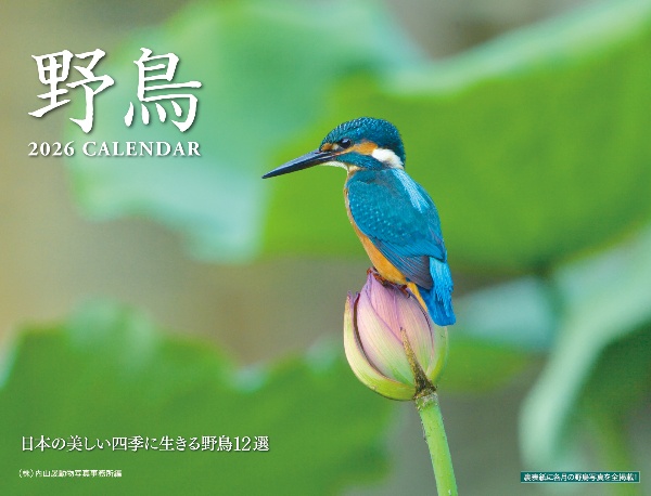 野鳥カレンダー 2026