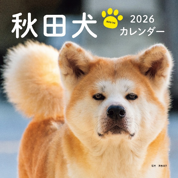 秋田犬カレンダー 2026