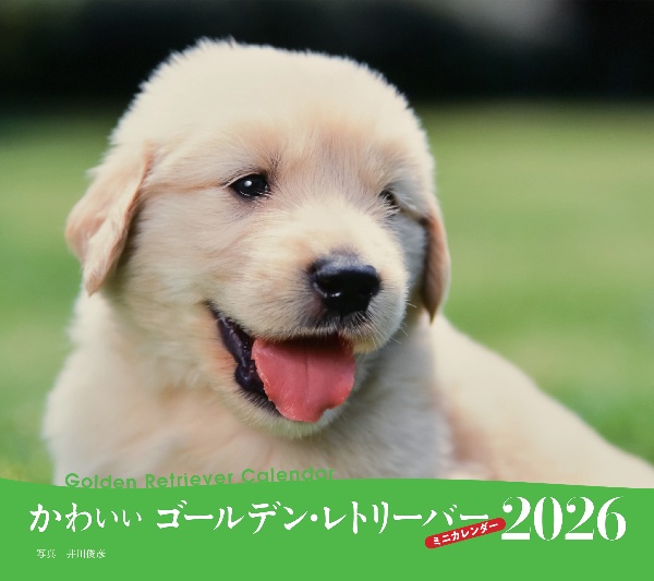 かわいいゴールデン・レトリーバーカレンダー 2026
