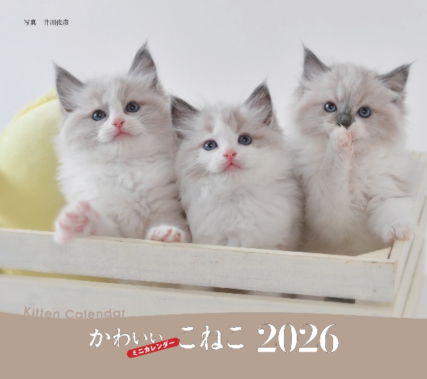 かわいいこねこカレンダー 2026