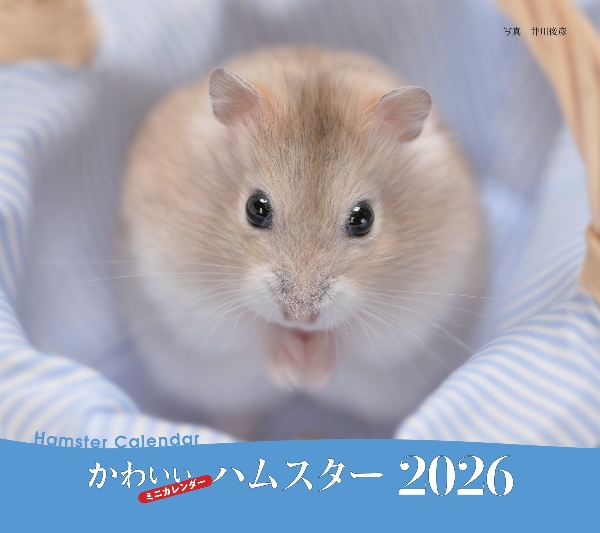 かわいいハムスターカレンダー 2026