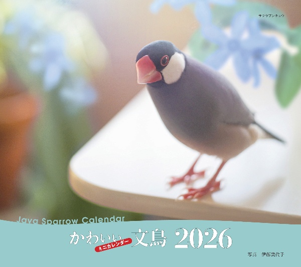 かわいい文鳥カレンダー 2026