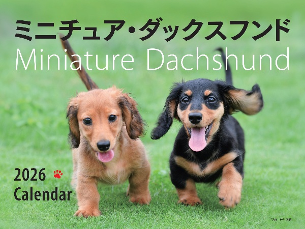 ワイド判ミニチュア・ダックスフンドカレンダー 2026