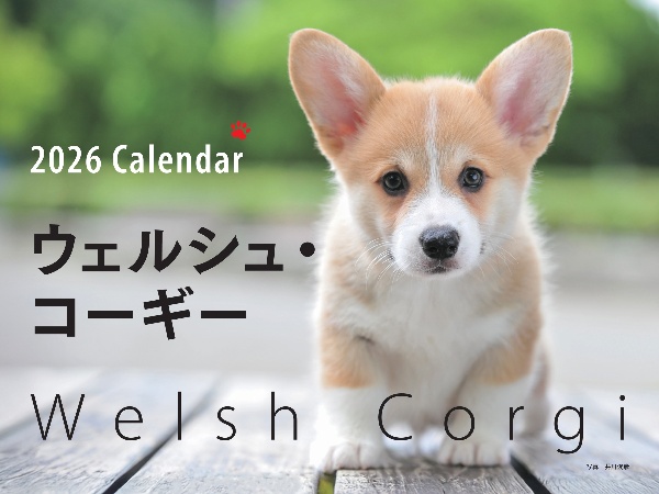 ワイド判ウェルシュ・コーギーカレンダー 2026