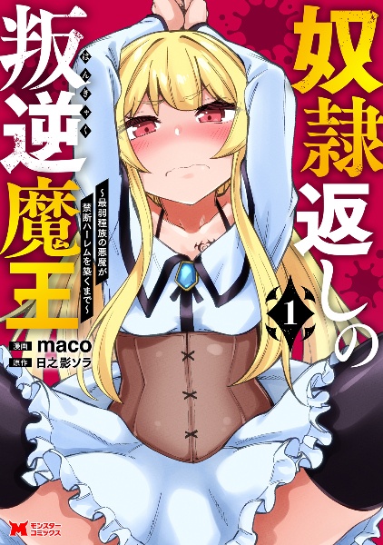 奴隷返しの叛逆魔王~最弱種族の悪魔が禁断ハーレムを築くまで~(1)