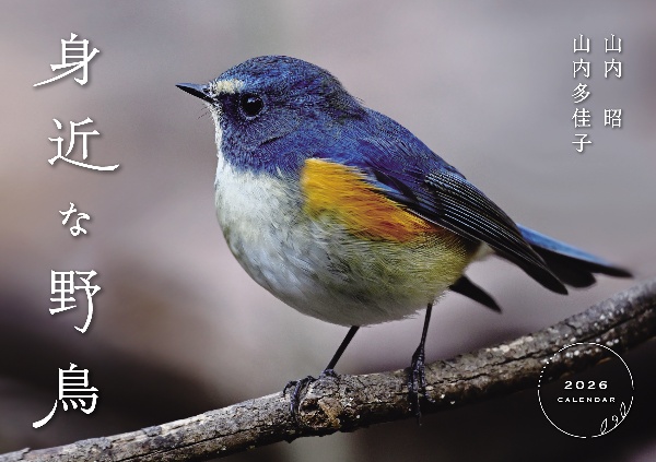 身近な野鳥カレンダー 2026