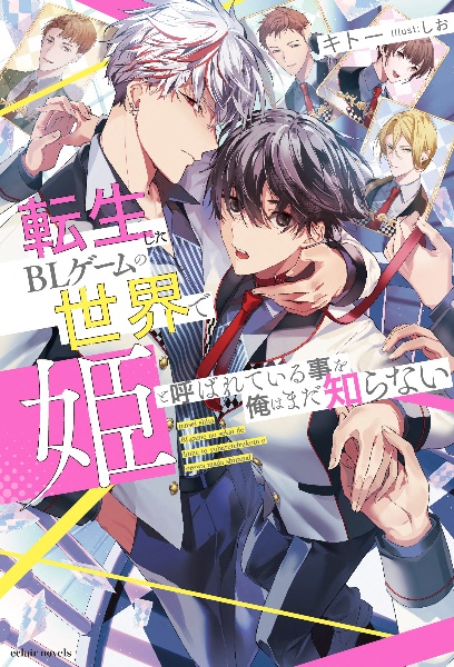 転生したBLゲームの世界で姫と呼ばれている事を俺はまだ知らない