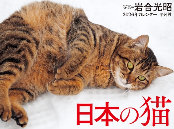 日本の猫カレンダー 2026