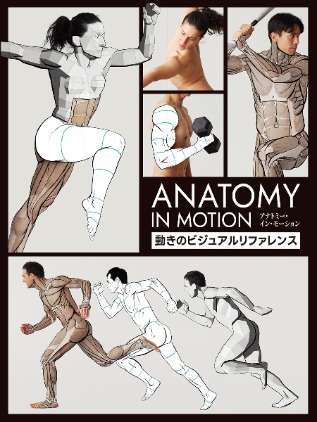 アナトミー・イン・モーション動きのビジュアルリファレンス