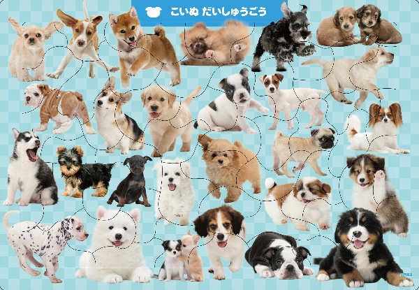 C06 こいぬ だいしゅうごう 50ピース