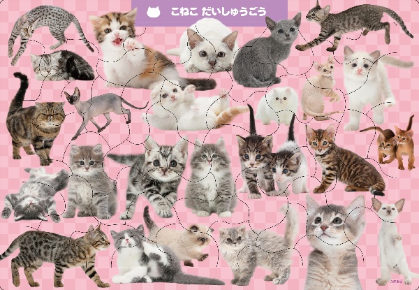 C07 こねこ だいしゅうごう 50ピース