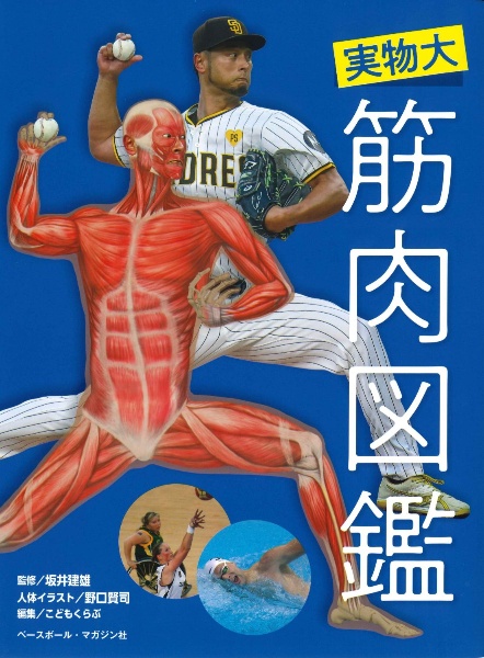 カラー図鑑 人体の正常構造と機能 坂井建雄