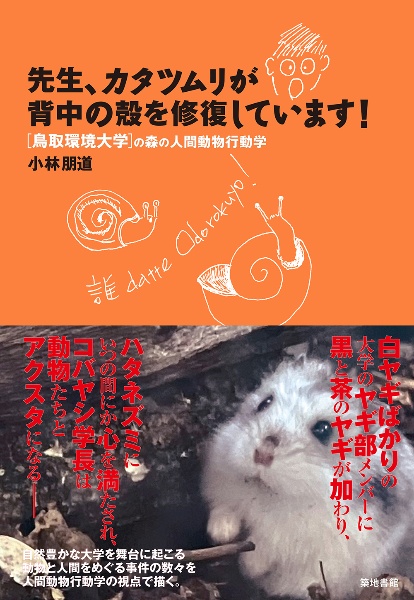 先生、カタツムリが背中の殻を修復しています! 鳥取環境大学の森の人間動物行動学
