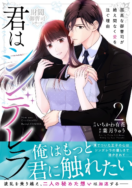 君はシンデレラ~孤高な御曹司が絶え間なく愛を注ぐ理由~【財閥御曹司シリーズ】