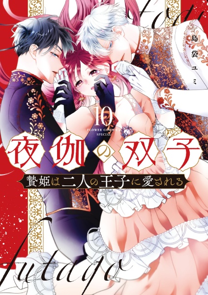 夜伽の双子 贄姫は二人の王子に愛される（10）